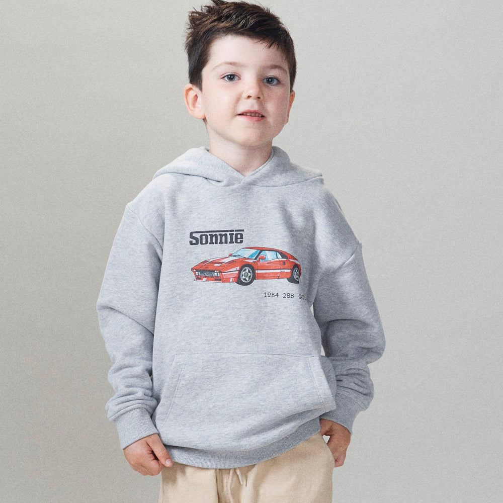 
                      
                        Ferrari Hoodie - Heather Grey
                      
                    