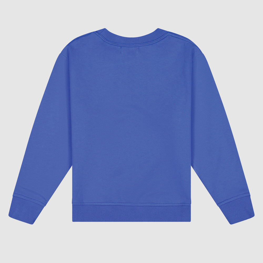 
                      
                        Varsity Crewneck - Blueberry
                      
                    